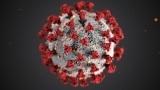November 12, 2022 coronavirus update for Oakville