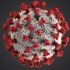 CDC: Listeria found in six states—is your state one of them? | The Modern Times