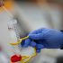 U.S. FDA advisers to weigh on updating initial COVID vaccine doses