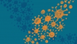 COVID cases drop everywhere. Where are the outbreaks?