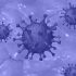 Coronavirus: U.S. COVID-19 cases climbing, wiping out months of progress