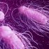 CDC authorizes COVID booster shots for some Moderna and Johnson & Johnson recipients, allows “mix-and-match” option