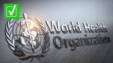 China is not a top contributor to the World Health Organization