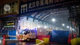 Wuhan market was epicentre of pandemic’s start, studies suggest