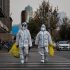 Purchase College adds mask policy amid rising COVID, flu, RSV