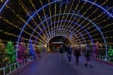 10 things to do to stay healthy this holiday season