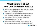 XBB.1.5 new variant is more contagious but not more dangerous: Experts