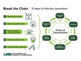 Stop the flu and COVID-19 with these infection prevention tips – News