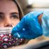 Bird Flu Surveillance Aims at Keeping Human Risk Low