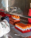 ‘Very Harmful’ Lack of Data Blunts U.S. Response to Outbreaks