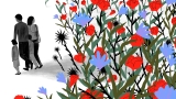 Wisconsin’s abortion law has some parents rethinking having more children : Shots