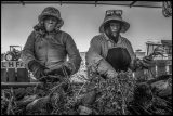 Rural California farm laborers fend for themselves for health care