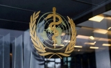 Explainer-How the World Health Organization might face future pandemics