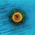 RAW: CDC: PACE OF NEW COVID VACCINATIONS TOP 500K PER DAY – WFMZ Allentown