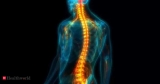 DeepTek launches AI lumbar spine quantification automation tool “DeepSpine”, Health News, ET HealthWorld