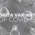 Coronavirus update: In these 2 US states, every county is listed as ‘high transmission’