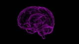 WHO launches first blueprint for dementia research; Highlights need for better treatment strategies