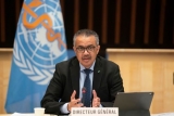 Global commitments on COVID-19 offer way forward but success depends on action being taken now