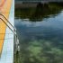 WHO health regulations don’t infringe on US decision-making