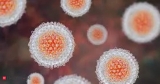 Disease experts call on WHO, governments for more action on monkeypox, Health News, ET HealthWorld