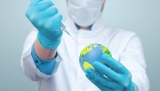 World Health Day: Focus on healthy humans, planet