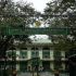 COVID-19: What you need to know about the coronavirus pandemic – World Economic Forum
