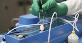 CDC warning of potential “COVID-19 rebound” after Paxlovid treatment