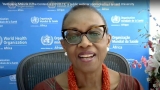 Global health experts share findings from year-long “Rethinking malaria” consultation