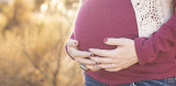 CDC Strongly Recommends Pregnant Women Get COVID Vaccine – NBC Palm Springs