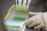 WHO and MPP announce agreement with NIH for COVID-19 health technologies