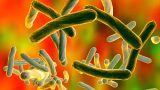 WHO Issues New TB Guidelines for Children and Adolescents