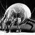 Covid-19 Live Updates: Cases, Vaccines, Travel and Variant News