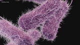 CDC: Salmonella outbreaks may be linked to Italian-style meats