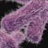 Johnson & Johnson says booster shot provides ‘rapid and robust’ Covid antibody increase