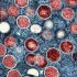 Is universal healthcare progress related to changes in childhood vaccination rates? Study analyzed how childhood immunization coverage differed during the COVID-19 pandemic between countries with varying universal health coverage — ScienceDaily