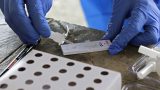 Covid-19: India reports first case of highly transmissible XE variant | Latest News India