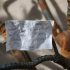 Uganda Ebola death toll rises to four