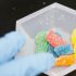 Health experts dissatisfied with CDC pandemic response forms ‘The People’s CDC’
