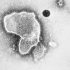 HHS Announces New $350 Million Initiative to Increase COVID-19 Vaccinations HHS Announces New $350 Million Initiative to Increase COVID-19 Vaccinations