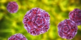 CDC Warns of Rising Enterovirus D68 Cases, a Virus Linked to Paralysis