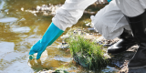 What is environmental health? – EHN