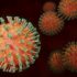 CDC: Only 5 Massachusetts counties now high risk for COVID transmission