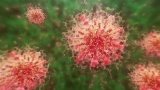 CDC: Clark County among counties with ‘high’ levels of COVID-19