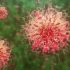 Health News Summary Roundup: U.S. CDC plans to improve international air contact tracing data collection; Italy to start administering second COVID booster to over-60s and more