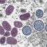 North Korea shuns outside help as COVID catastrophe looms | Coronavirus pandemic News