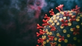 What to know about the strain sweeping through the U.S. and now in at least 28 other countries
