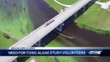 CDC begins first study to see if air-borne blue-green algae toxins harm health