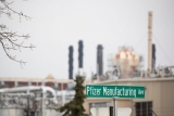 Pfizer adding 250 jobs to Kalamazoo site, where it will make Paxlovid