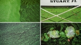 CDC needs volunteers to study toxic algae aerosolization health effects