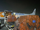 WHO continues providing financial and material support, training, vaccines and research to help end COVID-19 pandemic